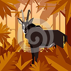 Flat jungle background with Sable Antelope