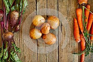 Flat lay of assortment of fresh root vegetables, bio healthy, organic food