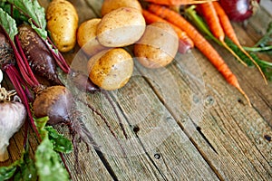 Flat lay of assortment of fresh root vegetables, bio healthy, organic food