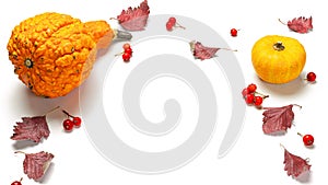 Flat lay autumn. Natural food, harvest with orange pumpkin, fall dried leaves, rowan berries isolated on white background. Mockup