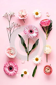 Flat lay beautiful composition flowers