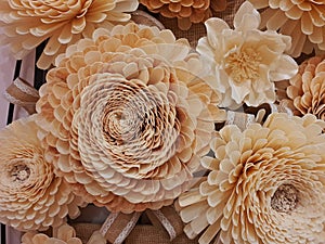 Beautiful sola wood flower photo