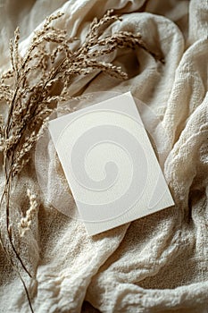 Flat Lay of Blank Art Card with Soft Neutral Textures photo