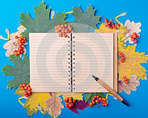 Flat lay blank lined craft notebook and pen on autumn fallen dry colorful leaves on a blue background.