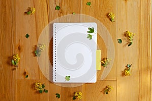 Flat lay of blank notepad and yellow barberry flowers
