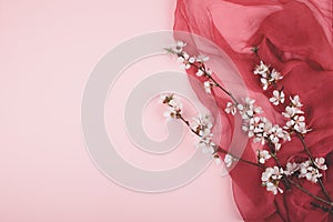 Flat lay with blooming cherry sakura flowers on pink pastel and purple background. Birthday gift girl pink background with copy