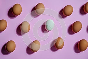 Flat lay of brown eggs with one peeled egg in the center with shadows