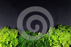 Flat-lay of bunches of various fresh green kitchen herbs. Parsley, dill, cilantro, over wooden background, top view. Spring or