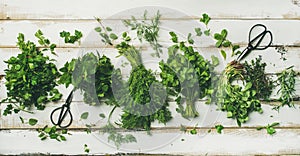 Various fresh green kitchen herbs