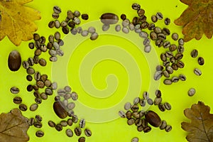 Flat lay  of     coffee beans, acorn and yellow leaf of oak on yellow paper  background