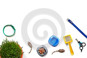 Flat lay composition with accessories for a cat isolated on white background. Pet care.