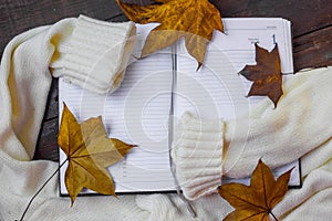 Flat lay composition of autumn leaves with warm sweater.