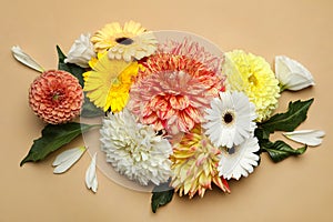 Flat lay composition with beautiful dahlia flowers on beige background