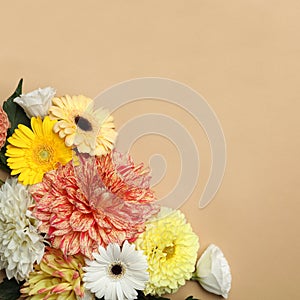 Flat lay composition with beautiful dahlia flowers on beige background. Space for text