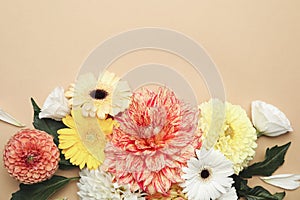 Flat lay composition with beautiful dahlia flowers on beige background. Space for text