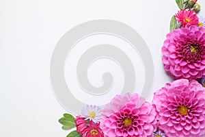 Flat lay composition with beautiful dahlia flowers and space for design on white background