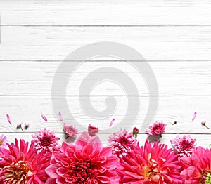 Flat lay composition with beautiful dahlia flowers and space for text