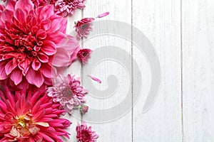 Flat lay composition with beautiful dahlia flowers and space for text