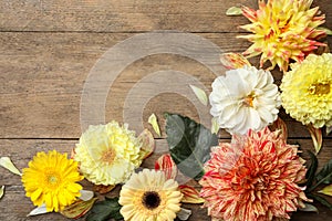 Flat lay composition with beautiful dahlia flowers on wooden background. Space for text