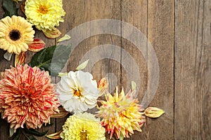 Flat lay composition with beautiful dahlia flowers on wooden background. Space for text