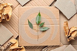 Flat lay composition with cardboard and green branch. Recycling problem