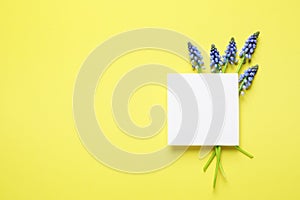 Flat lay composition with empty card and spring muscari flowers on color background