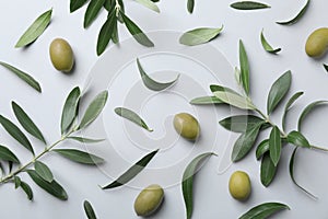 Flat lay composition with fresh green olive leaves