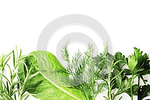 Flat lay composition of fresh herbs on a textured background