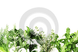 Flat lay composition of fresh herbs on a textured background