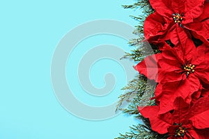 Flat lay composition with poinsettia and on color background. Traditional Christmas flower