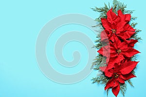 Flat lay composition with poinsettia and space for text on color background. Traditional Christmas flower