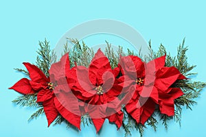 Flat lay composition with poinsettia. Traditional Christmas flower