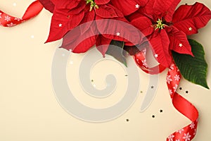Flat lay composition with poinsettias traditional Christmas flowers and ribbon on beige background. Space for text photo