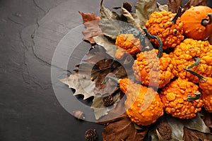 Flat lay composition with ripe pumpkins on dark grey textured table. Space for text