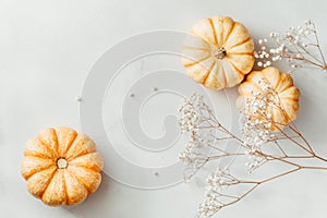Flat lay composition of small pumpkins on a white background with decor