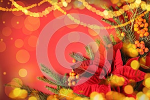 Flat lay composition with traditional Christmas poinsettia flower and space for text on red background, bokeh effect