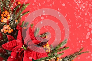 Flat lay composition with traditional Christmas poinsettia flower and space for text on red background. Snowfall effect