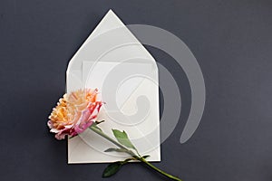 Flat lay composition with a white envelope, blank card and a peony rose flower on a grey background. Mockup for wedding or