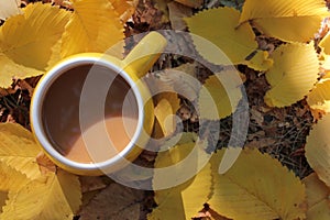 Flat lay composition with yellow cup of coffee on autumn leaves background. Cozy autumn mood.