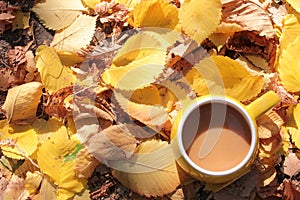 Flat lay composition with yellow cup of coffee on autumn leaves background. Cozy autumn mood.