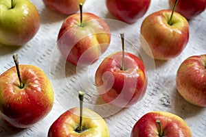 Flat lay of crabapples on a white background