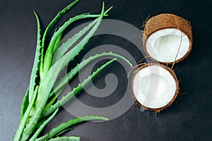 Flat lay cracked coconut and green aloe vera plant leaves