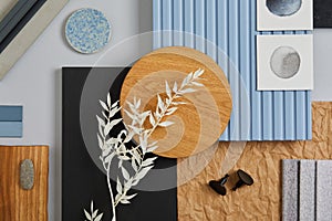 Flat lay of creative architect moodboard composition with samples of wood, textile, paint, lamella panels and tiles. photo