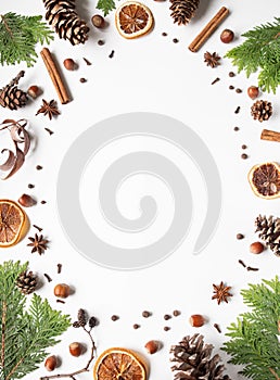 Flat lay creative natural frame of parts plants, nuts and spices. Thuja, cones, dry orange slices, spices on white background. Top