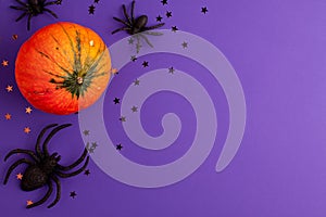 Flat lay of decoration orange small Halloween pumpkin template star shapes and black horror spiders on vibrant purple background