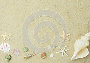 .Flat lay essentials accessories for travel to beach trip.Variety shell on white sand sea.