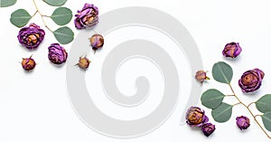 Flat lay flowers composition. Frame made of dried rose flowers and sprigs of eucalyptus on white background top view copy space.
