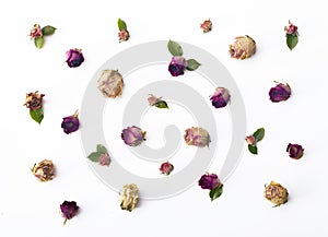 Flat lay flowers / roses background