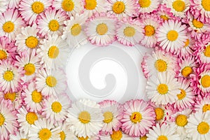 Flat lay frame border made of daisy flowers photo