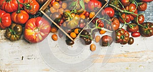 Flat -lay of fresh colorful tomatoes, top view